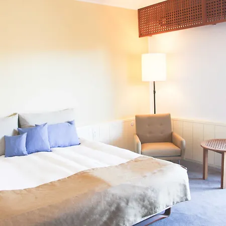 Отель Griffen 4*