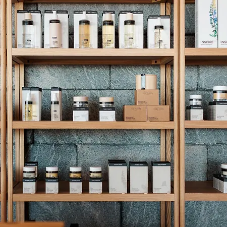 格里芬spa酒店 4*